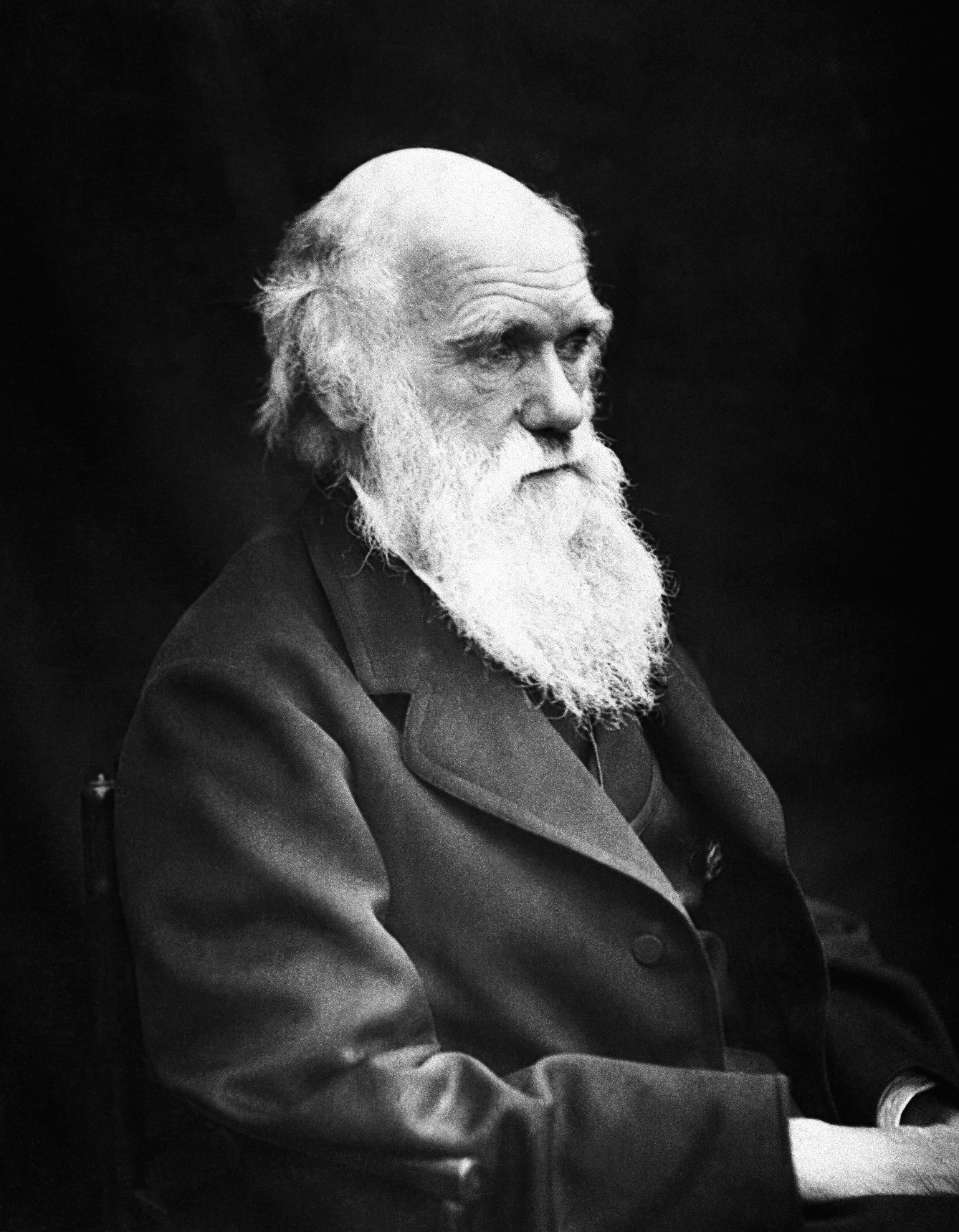 ../_images/darwin.jpg
