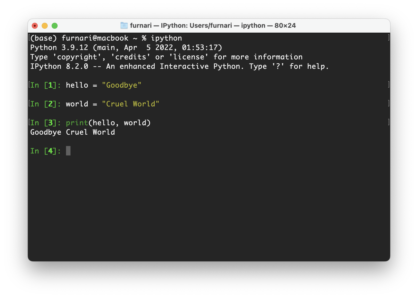 ../_images/ipython.png