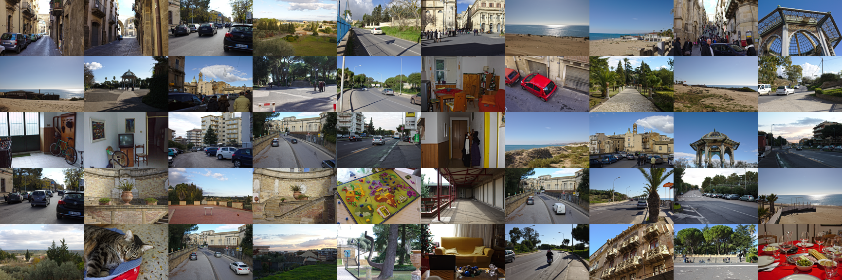 Affine Covariant Features for Fisheye Distortion Local Modeling