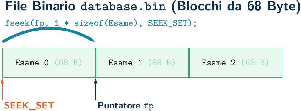 I/O Diretto con Array di Struct su File Binario